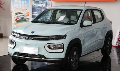 Dongfeng 2022 Nano Box version haut de gamme 331km Hatchback 5 portes 4 sièges SUV EV