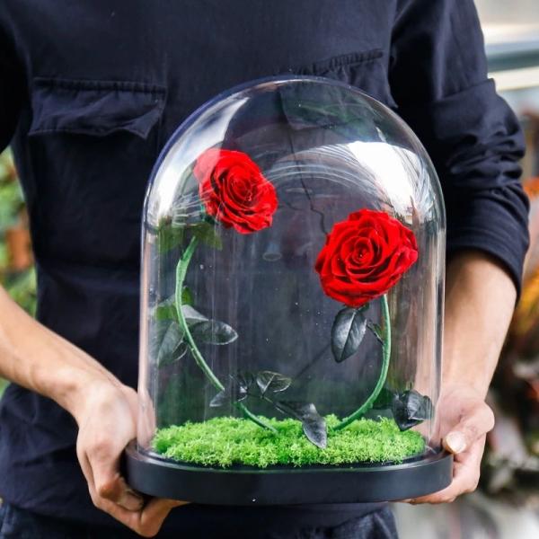 New Shape Glass dome Preserved Long Lasting Rose With Curving Stem In Glass Bell