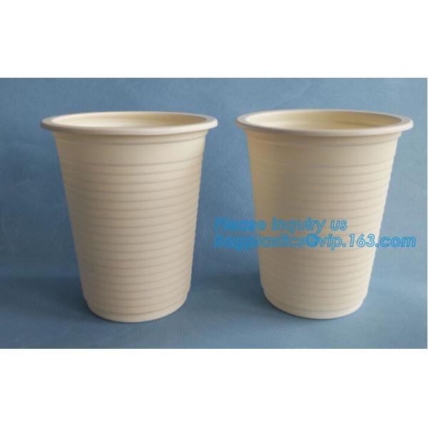 Disposable Bagasse Pulp Biodegradable Ice Cream Corn Starch Bowl Packaging For Food,Biodegradable corn starch bowl for s