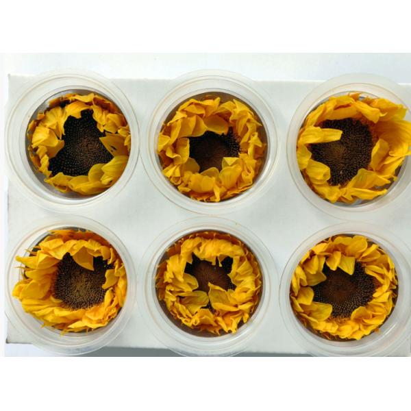 Eternal Sunflower Eternal Flower Sunflower Gift Box Glass Dome Bouquet Flower Materials Preserved Flowers Sunflower Wholesale