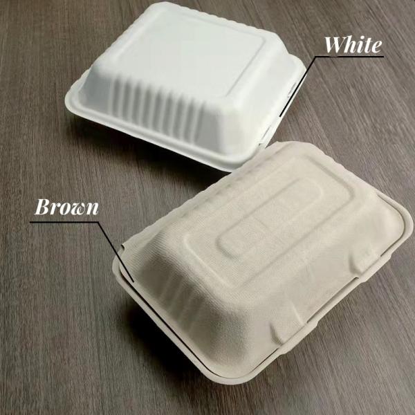 Eco-Friendly Disposable Packaging Boxes for Multi Color Biodegradable Fruits and Eggs