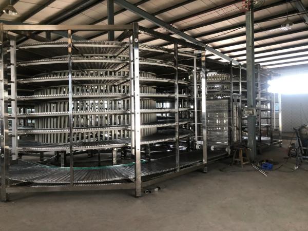                  Frozen Fruit Machinery / Vegetable Quick Freezing Equipment / Individual Quick Freezer             
