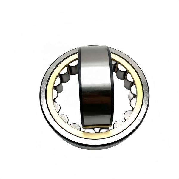 Single Row 50*90*20mm N/NU/NJ/NF210EM Cylindrical Roller Bearing for Long Life