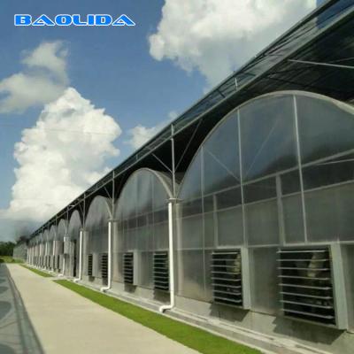 Multi estufa da folha do policarbonato do túnel 8mm do período para jardinar