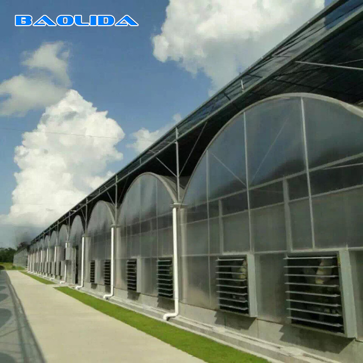 Структура стали парника фильма поликарбоната ПК парника Мульти-пяди автоматической системы