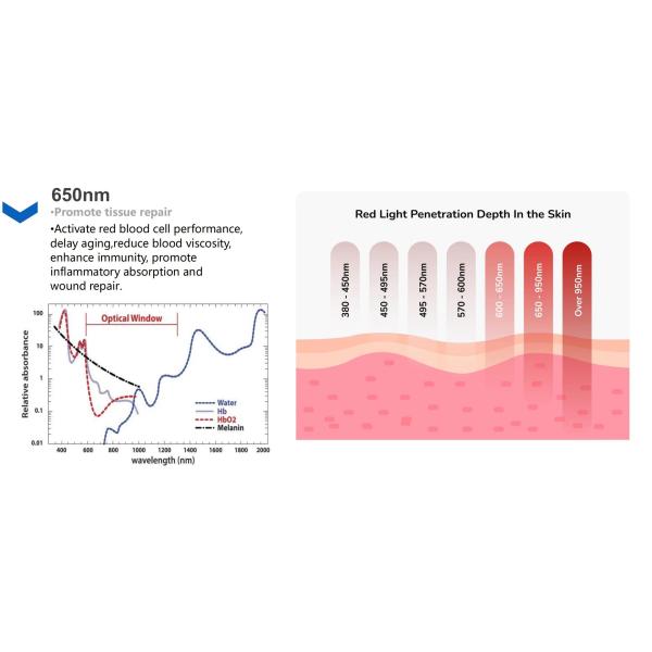 Red Light Laser and Blue Light Source Gomecy Physical Healing 650nm Photodynamic Therapy Laser Machine