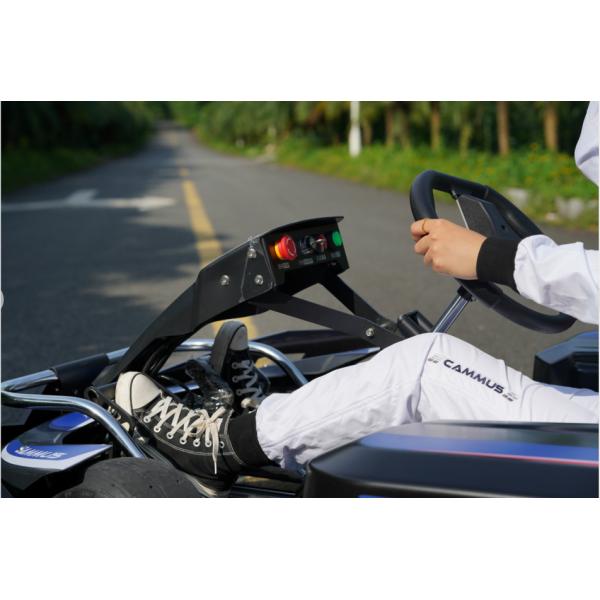 36V ягнится электрическое идет Karts с задним зазором местности цапфы 43mm