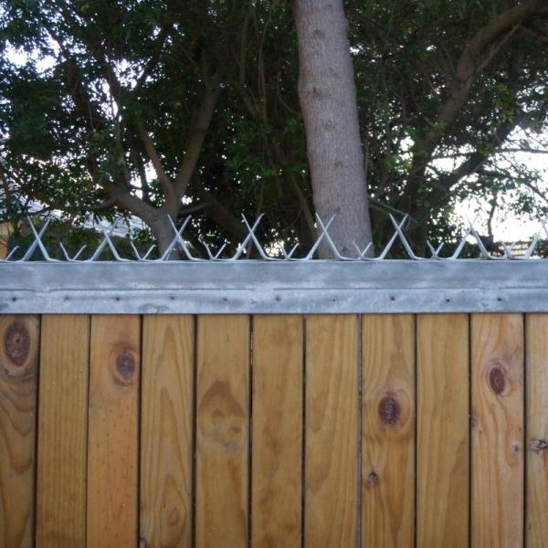 PVC que reveste pontos da segurança da parede de Barb Length 90mm para a cerca Tops 1m 1.25m 1.5m