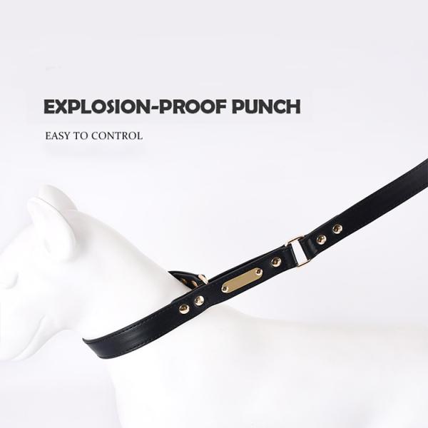 Hands Free Dog Leash And Collar , Leather Dog Leads And Collars