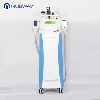 China Nubway medical CE / FDA approval 2 handles working simultaneously best cryolipolysis machine