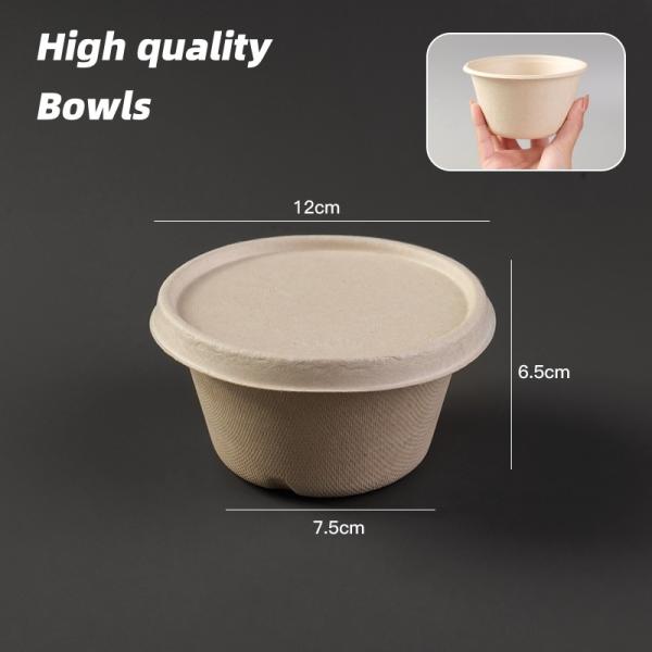 Different Size Eco-Friendly Sugarcane Pulp Bowl Biodegradable Disposable Tableware