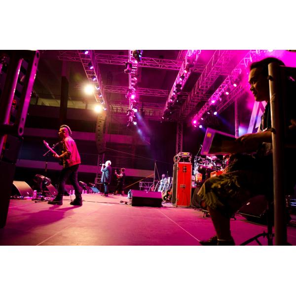 Flexible Active Line Array System , Conference Audio System Speaker Box