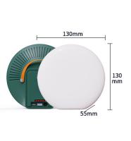 L'électricité chargeant la lampe solaire extérieure IP66 imperméabilisent les lumières solaires de l'énergie LED