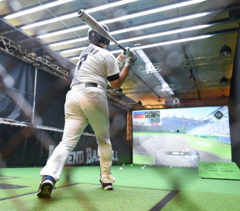 Hot Sale Indoor Entertainment Professional Screen Baseball Training Simulator for Sale