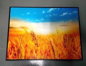 DIY Large Acrylic Picture Frames , Acrylic Picture Frames Wall Mount Environmental Friendly