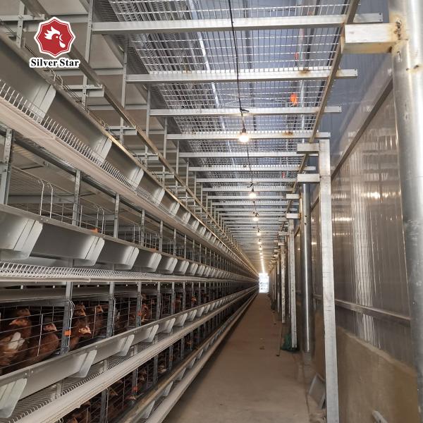 Q235 Hot Galvanized Automatic A Type H Type Poultry Farming Chicken Cage For Layer Equipment