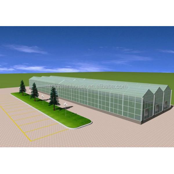 Умный контролируемый безопасный стеклянный теплица для овощей Фрукты Цветы Верхняя высота 4,8 м-6,8 м