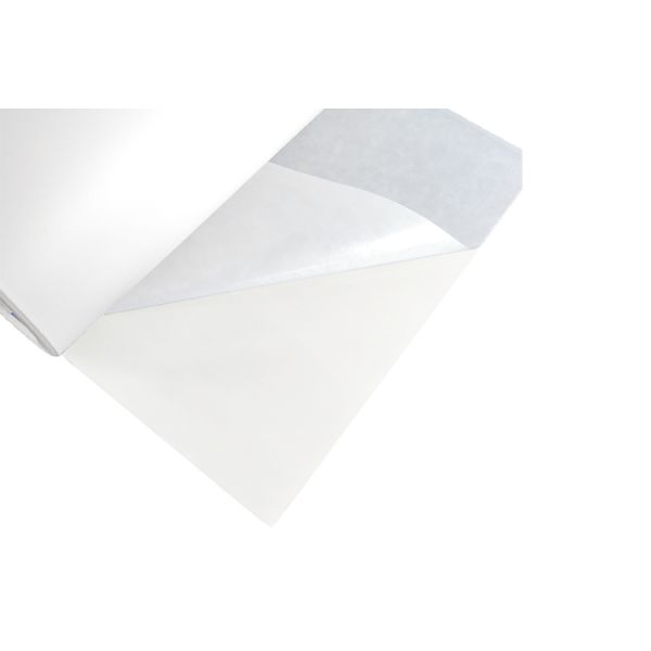 500mm Width Hot Melt Adhesive Film for Embroidery Patch Strong Bonding PES Film for Textile Fabric & Shoe Components