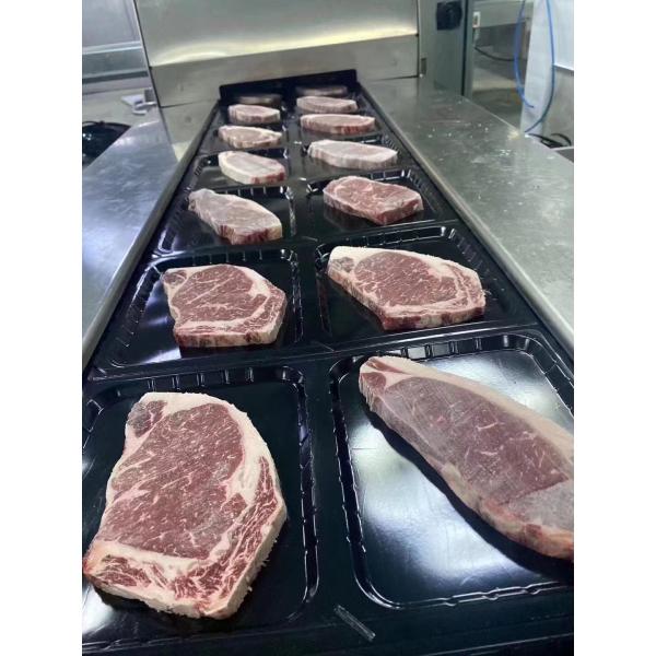 Film rigide 350-900mic de Thermoforming d'emballage de PE d'Apet