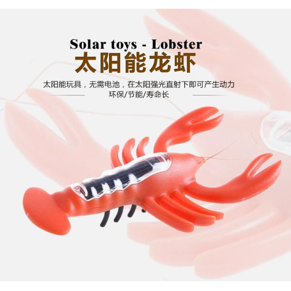 Small Cute Solar Powered Animal Kids Educational Birthday Gifts Solar Lobster