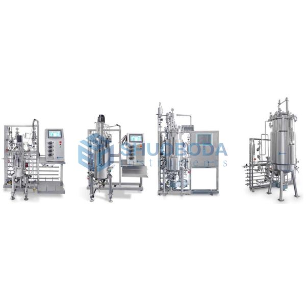 Laboratory Stainless Steel Bioreactor Fermenter FMT-S Series