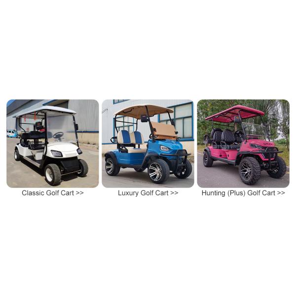 48V LiFePO4 Battery Electric Golf Cart Vehicle Luxury 4 Seater Scooter for Sal
