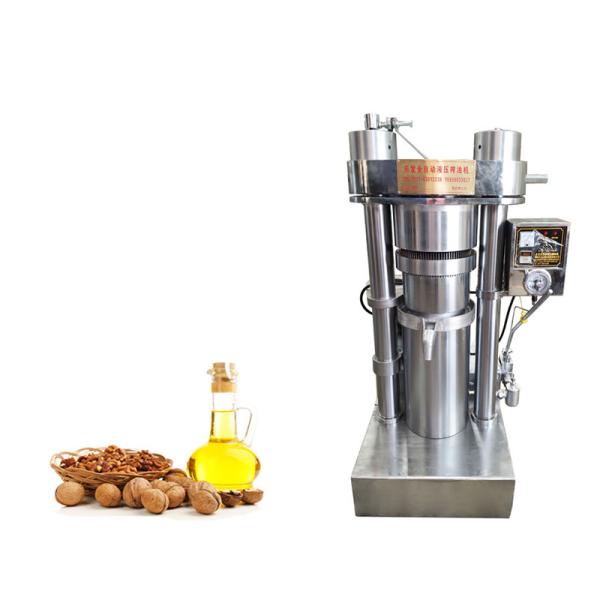 Масло грецкого ореха делая 65kg/h гидравлическую машину прессы глубинной вытяжки для небольшого завода масла