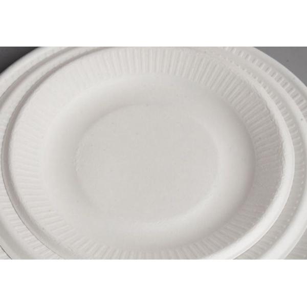 Eco-Friendly Biodegradable Paper Pulp Plate for Disposable and Smooth Edge Containers