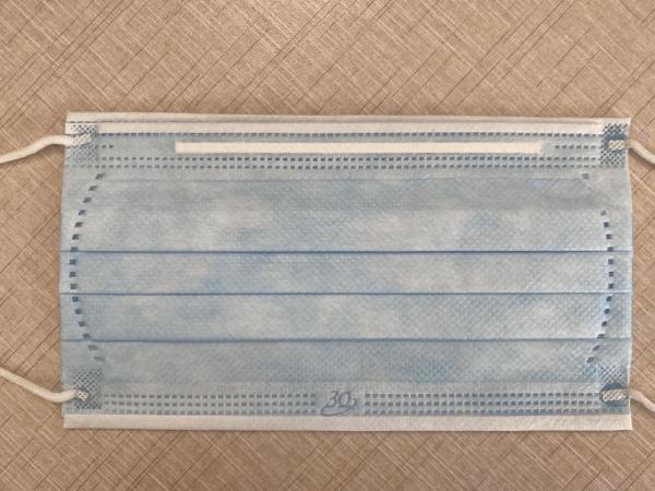 ISO9001 17.5*9.5cm Disposable Protective Face Mask