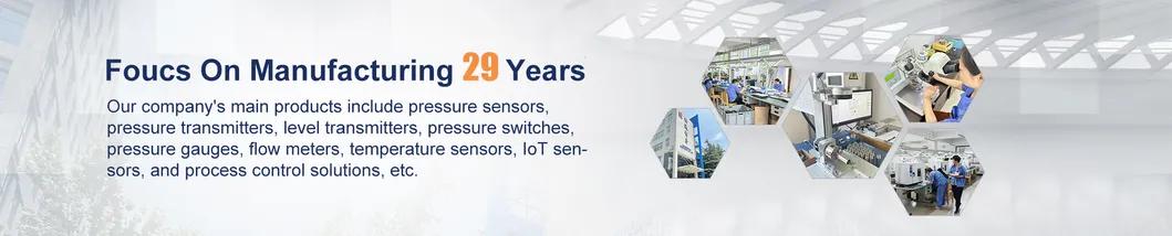 HT30 Pressure Sensor Cell with Thread Connect Voltage Thread Level Sensor