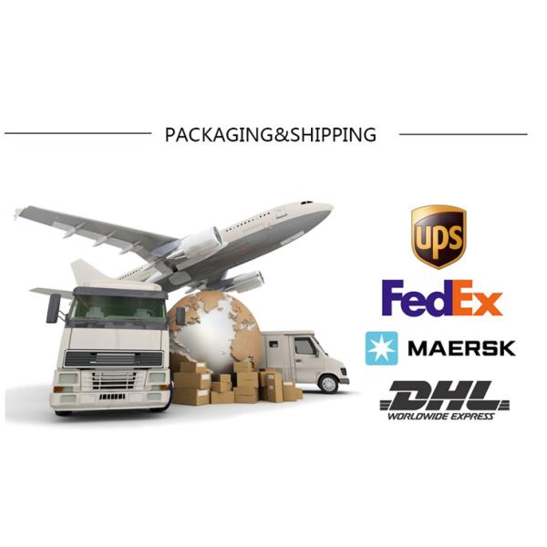 PU Leather Awesome Womens Backpack Bags Light Blue Colored For Travelling