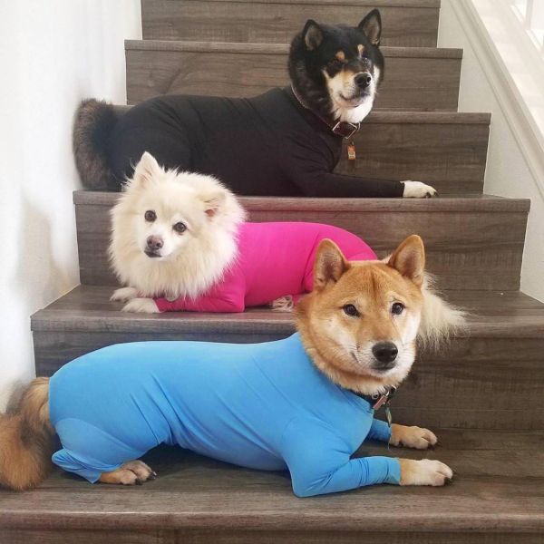 Anti-Allergy Static-Proof Dog Clothes Antibacterial Fabric UV Protection