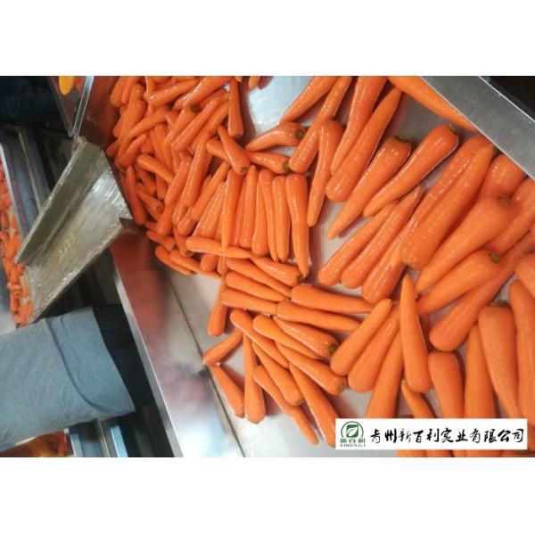 Japan Standard Fresh Organic Carrots Own Plantation Supply To Supermarket