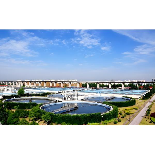 High Technology Roots Blower For Wastewater Treatment Plant Paper Mill Factory