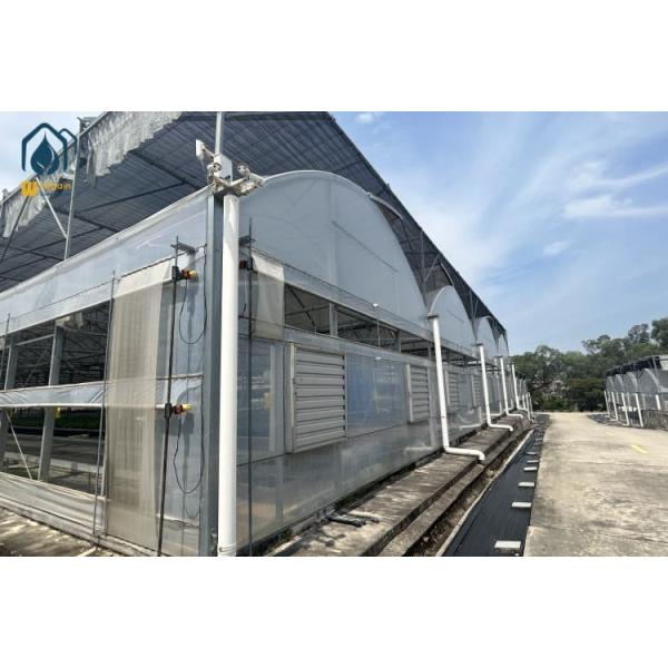 Commercial Hydroponic System Greenhouse Multi Span Hydroponic Farming Greenhouse Customized