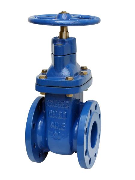 Flat Bottomed Seat Ductile Iron Gate Valve  Metal Seated Gate Valve
