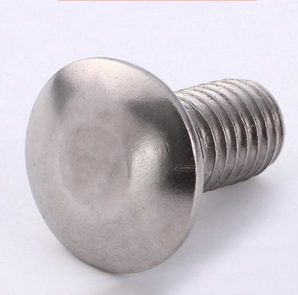M6 M8 M10 Stainless Steel Carriage Bolt SS304 SS316 SS316L DIN603 ISO8677