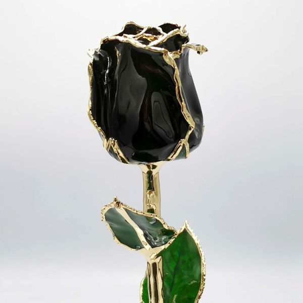 Manufacture Supply Gold Plated Roses Natural Rose with Stem for Gifts Eternal Fresh for Valentine's Day  Christmas Gifts