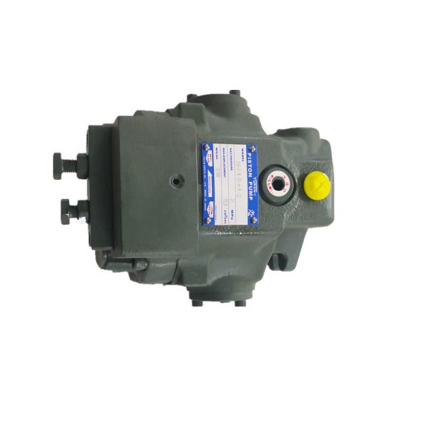 A100 A145 A220 A10 A90 Yuken Hydraulic Pump Variable Hydraulic Pumps 3000rpm