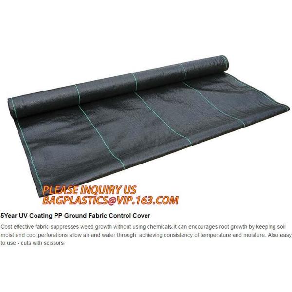 Плантатор сада пластмассы полиэтилена ЛДПЭ кладет в мешки для овоща, дерева и саженец цветка, ЛДПЭ пластмассы отверстия 15 ГАЛЛОНОВ растет б