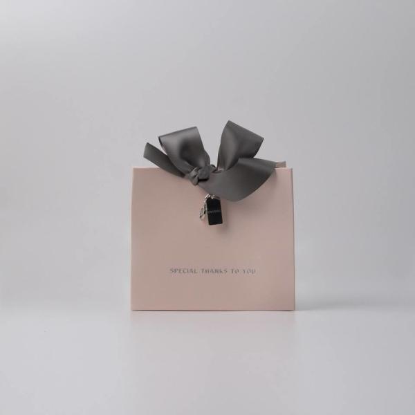 Custom Logo Matt Paper Clothing Packaging Gift Paper Bag With Ribbon Handle For Your