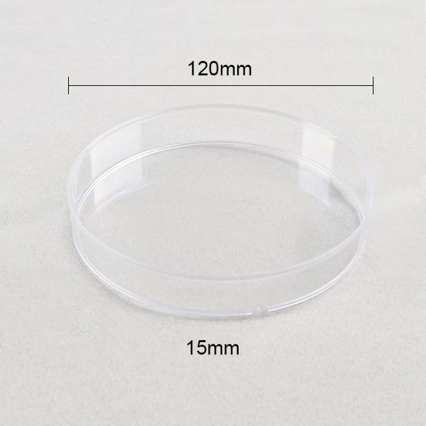 120mm Round Petri Dish Cell Culture Plastic Uses In Laboratory Culture Dishes