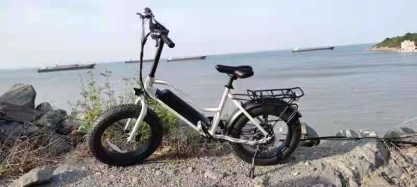 ( OEM Factory ) 48V 250W Fat Tyre Electric Bikes , 20 Inch Electric Assist Bicycle