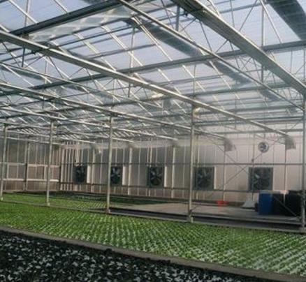 High Performance 50 Inch Galvanized Sheet Hammer Exhaust Fan for Greenhouse Warehouse air Cooling System