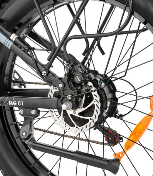 Latest High Speed Gear Ridstar Electric Bike Full Suspension Frame