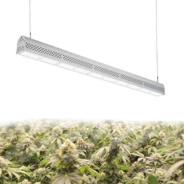 No Shading 300 Watt Led Grow Light , IP67 Waterproof Outdoor Grow Lights