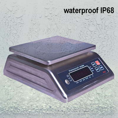 IP68 Waterproof Electronic Weighing Scale With Stainless Steel Housing ATG-S