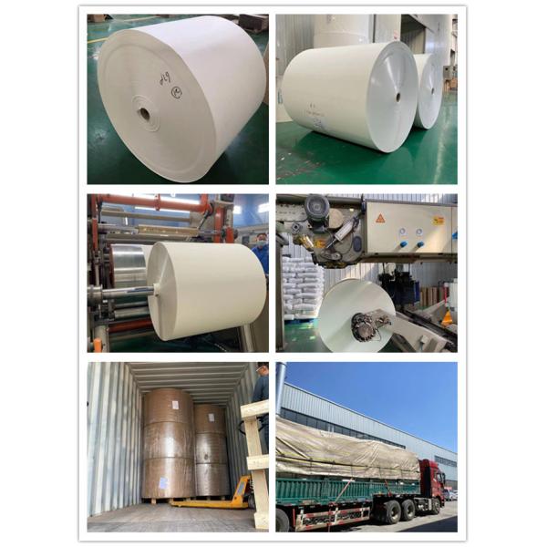 210gsm напечатало прокатанное PE печатание вентилятора бумажного стаканчика Flexographic