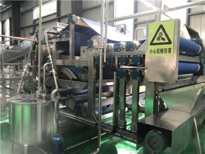 15T/Day SS304 concentrou o abacaxi Juice Production Line