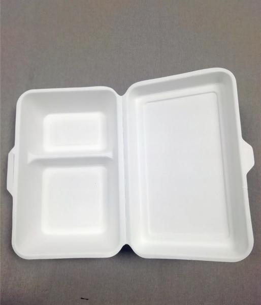 2- Compartments Meal Prep Bento Boxes Sugarcane Bagasse Take Out Microwavable Biodegradable Material Deep Container